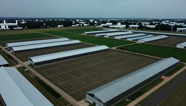 定制企业网站公司在哪，立足本地分类查询系统如何助力企业精准对接